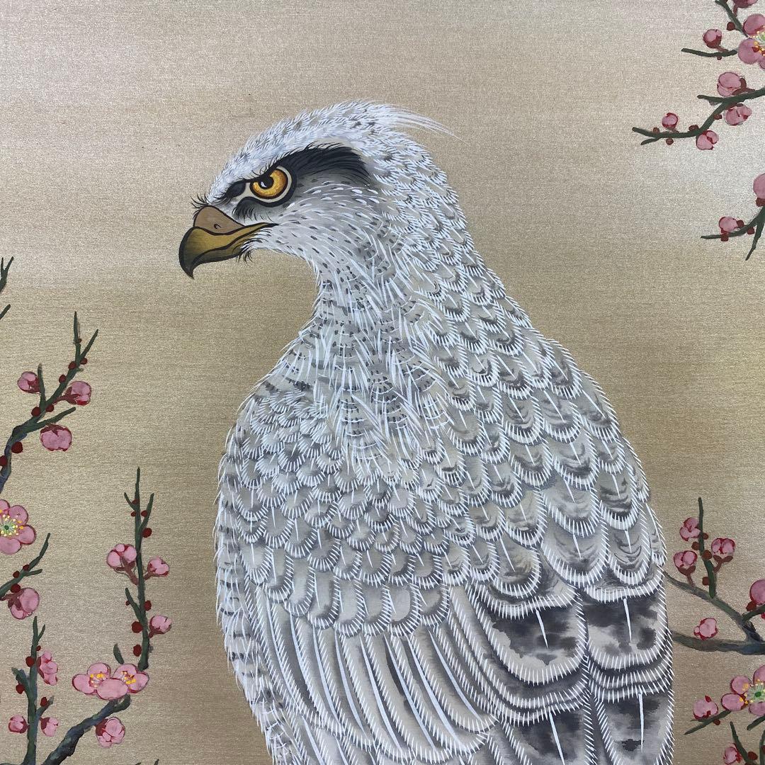 美品 掛け軸 国井柳甫作 金地 鷹に梅図 共箱 太巻き付 縁起物 厄除け