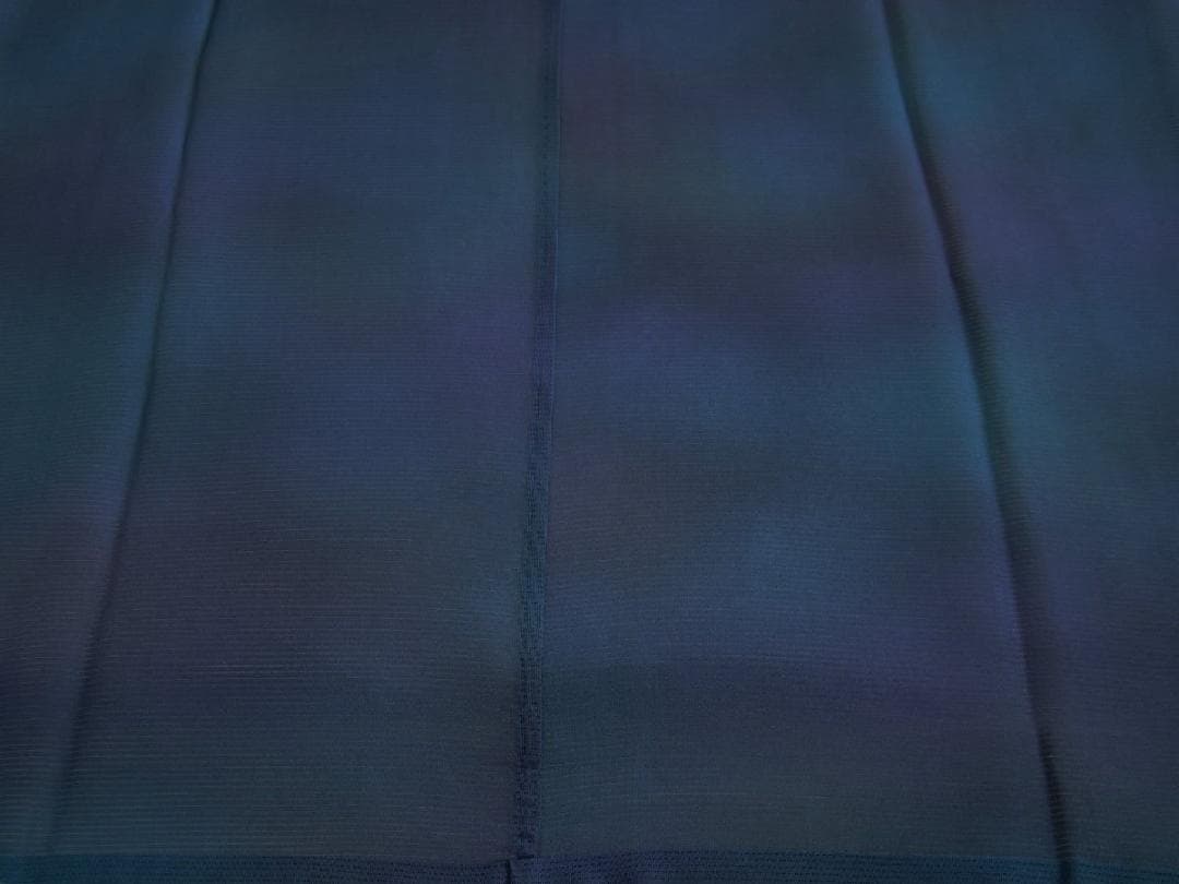 夏物 裄68.2cm ロング寸 絽 長襦袢 半衿付 正絹～165cm Jｓ726