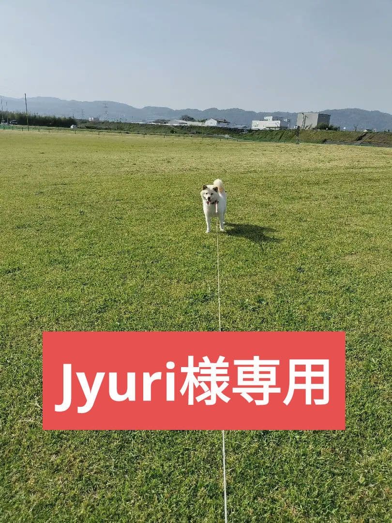 Jyuri　てんたかく