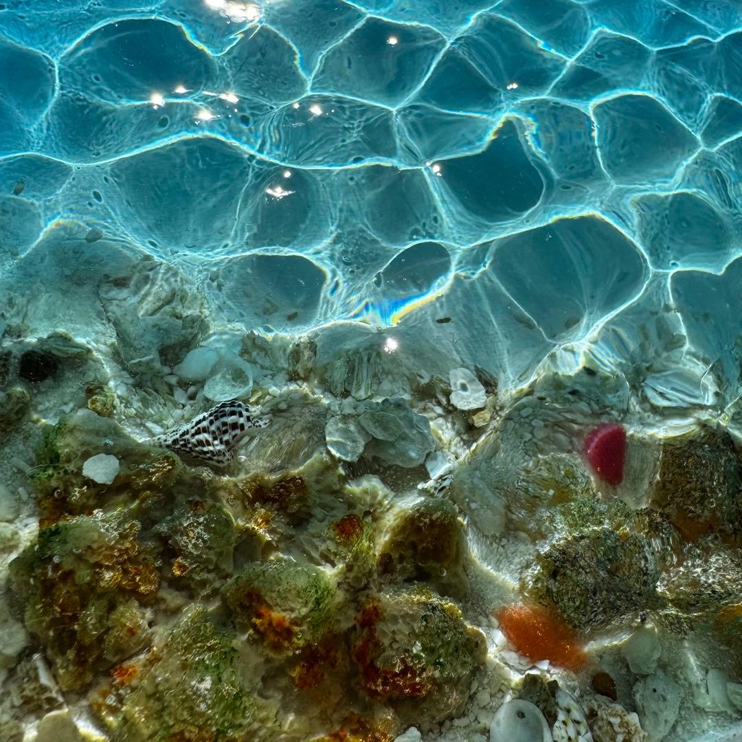 レジンアート オーシャンアート マンタ 沖縄 海 アートパネル 波紋アート