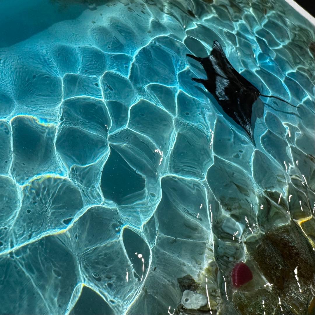 レジンアート オーシャンアート マンタ 沖縄 海 アートパネル 波紋アート