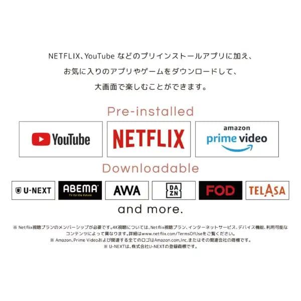 【新品未使用】ORION ポータブルチューナーレステレビ [24V型]