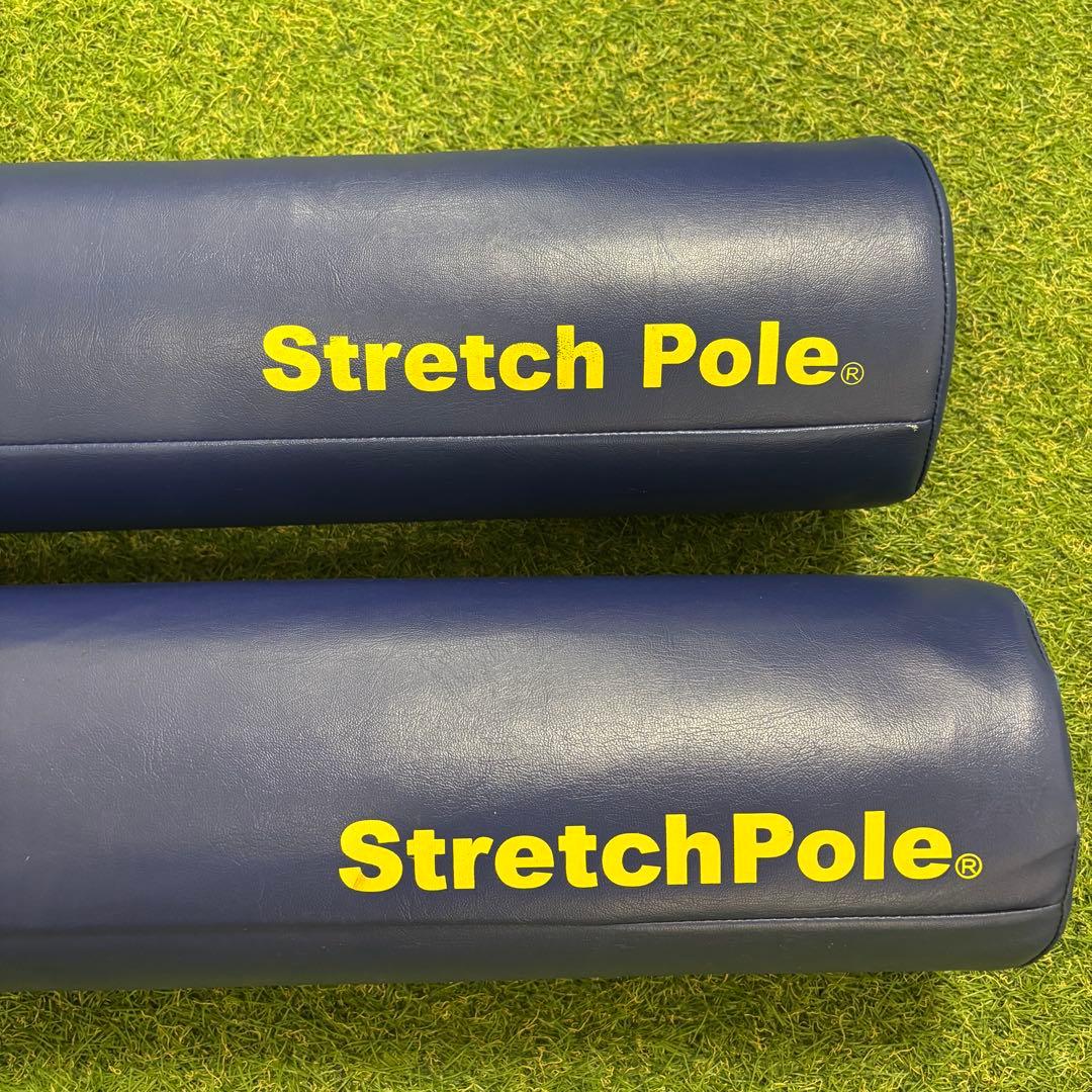 【即日発送 正規品】LPN社製 ストレッチポールEX 2本セット