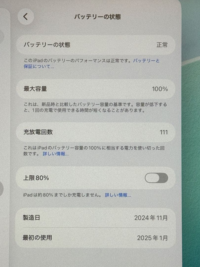 13インチiPad Air(M2) 256GB Wi-Fi ブルー +色々