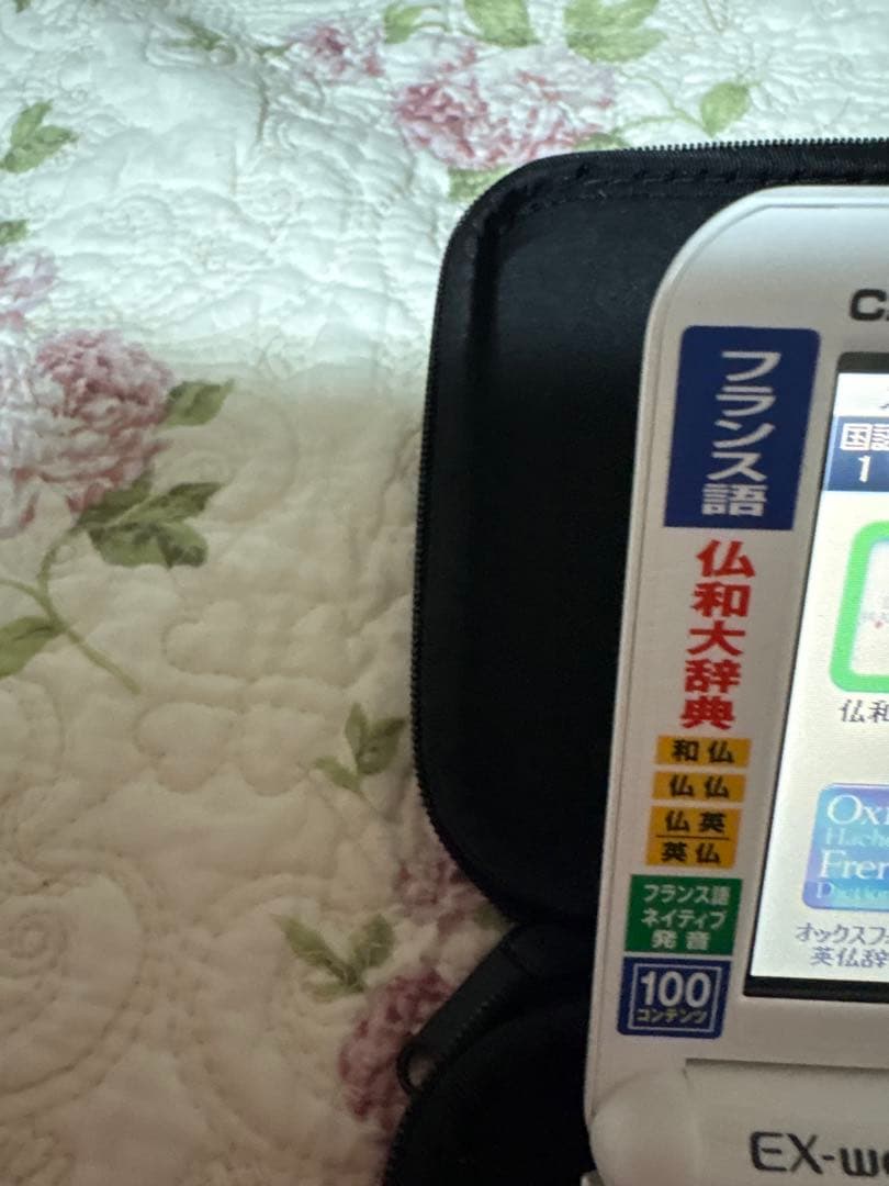 CASIO 電子辞書 EX-wordフランス語DATAPLUS10 ケース付