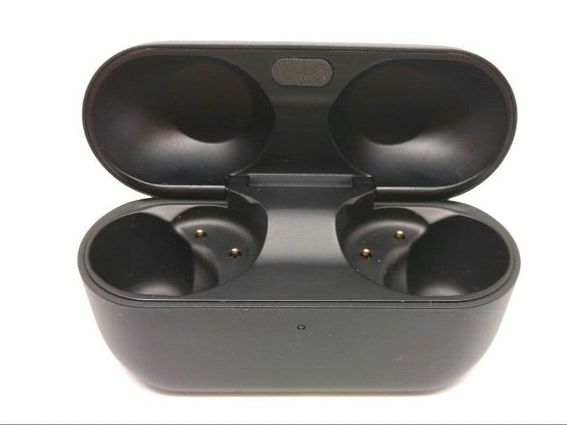 【★美品★】Technics EAH-AZ100【充電ケースのみ】