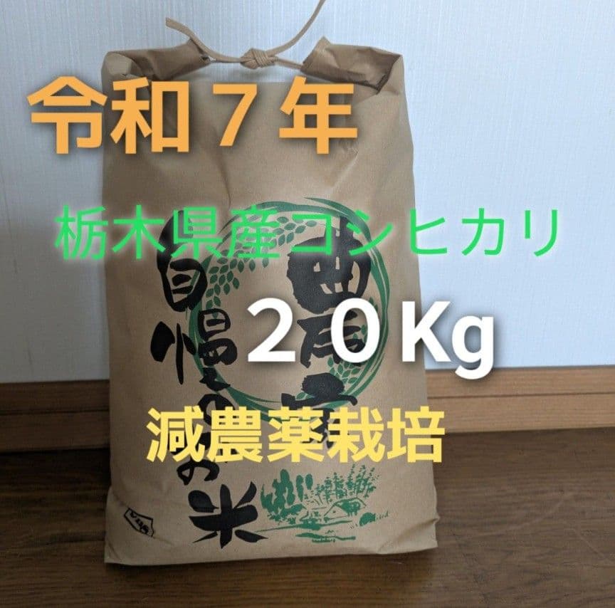 令和7年　栃木県産減農薬栽培コシヒカリ 20kg