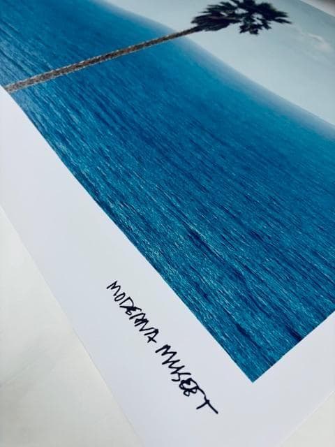 Palm tree/seascape/ジョン バルデッサリ/額装ポスター