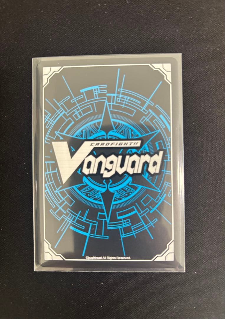 月の門番　ヴェイズルーグ　DSR