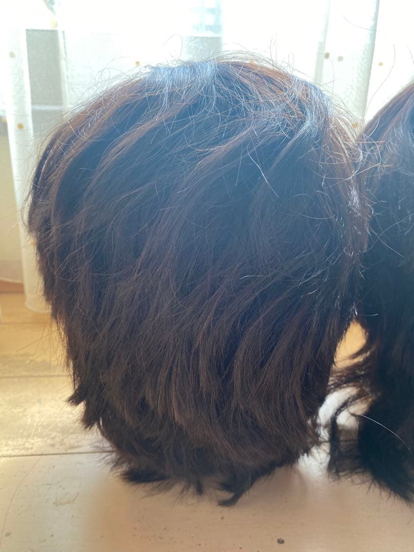 美品！美容師国家試験セット