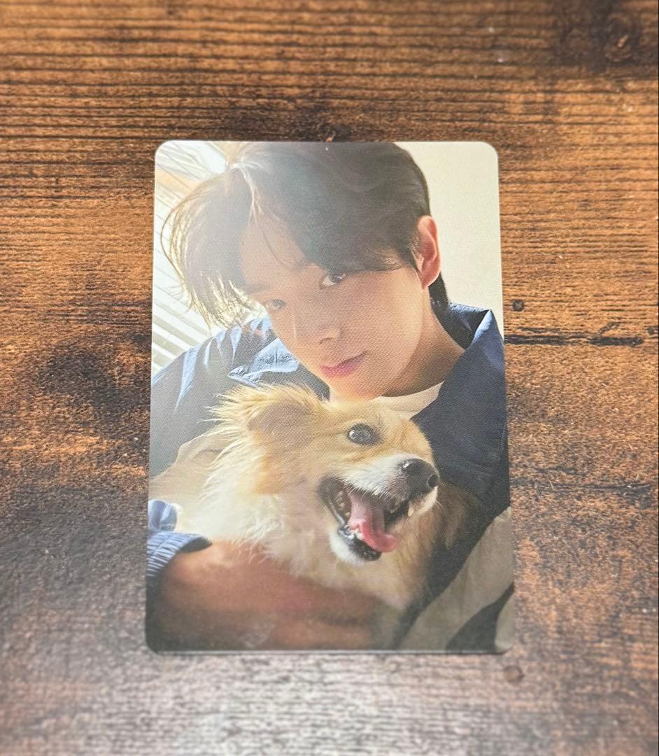 ENHYPEN 2025会報 アンケート 限定 トレカ ジェイク