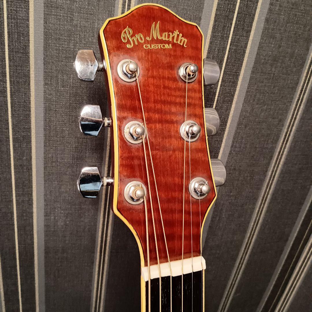 新品弦 メンテ済み PROMARTIN プロマーティン エレアコ ギター アコギ