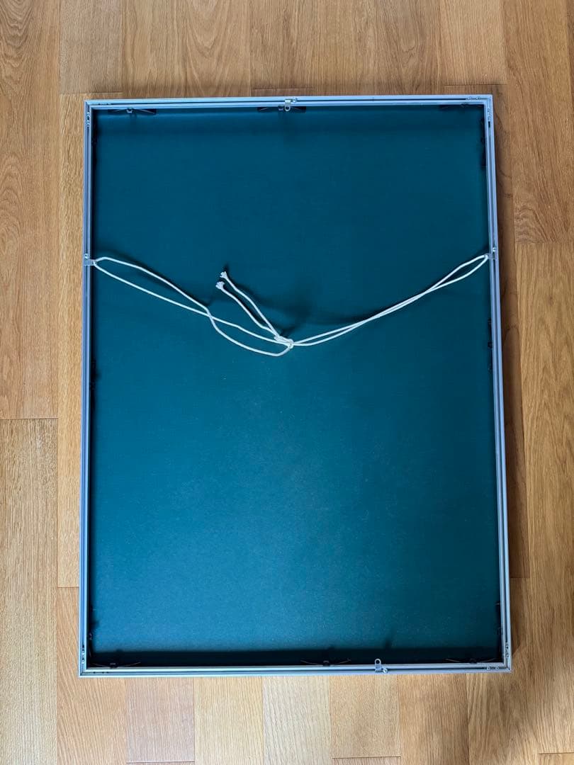 Sex Pistols Fuck Forever シルクスクリーン