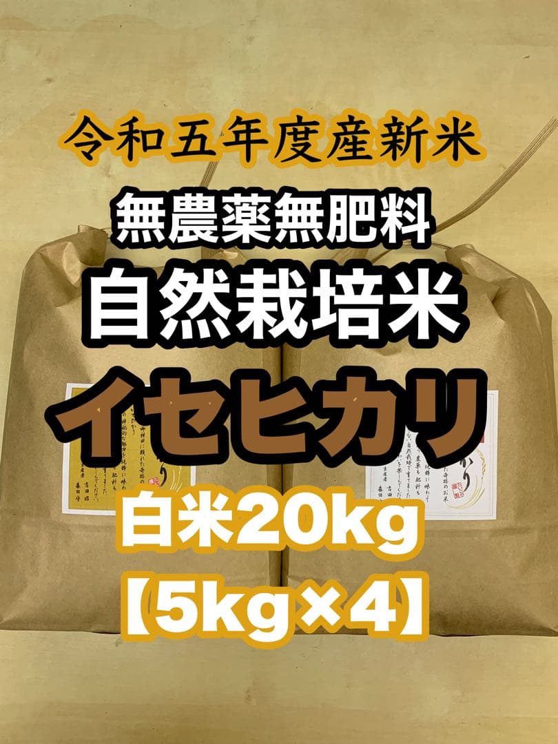 自然栽培【イセヒカリ】白米20kg[5kg×4袋]新米 無農薬無施肥の自然栽培米