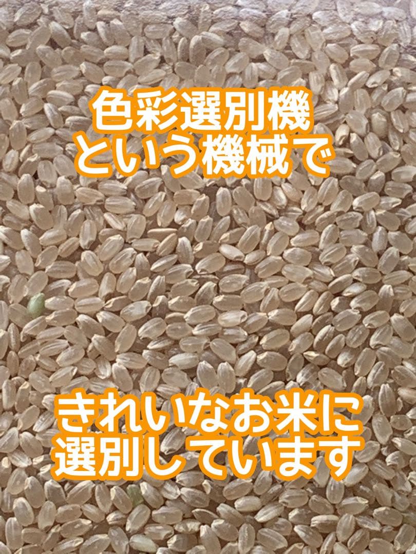 自然栽培【イセヒカリ】白米20kg[5kg×4袋]新米 無農薬無施肥の自然栽培米