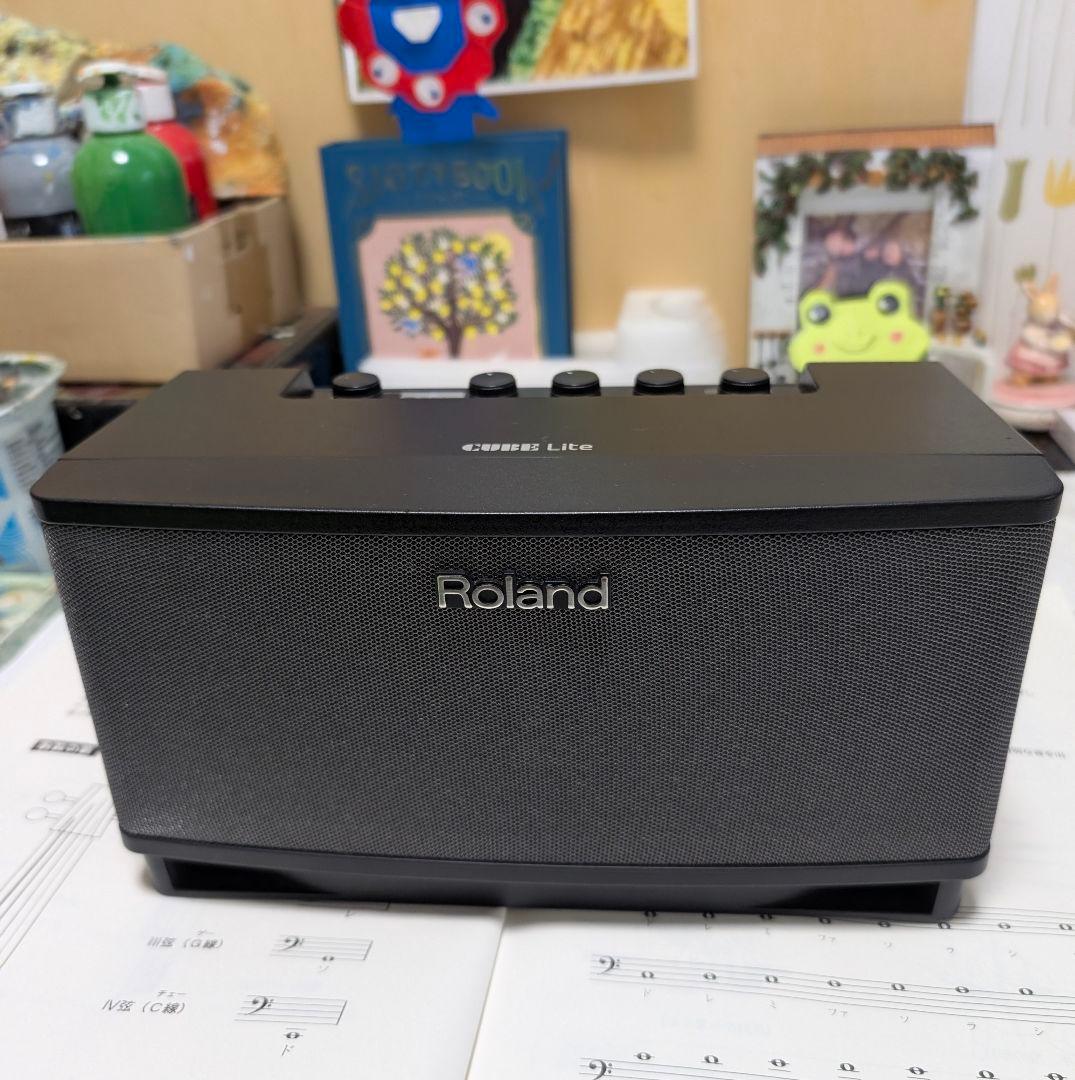 Rolandポータブルアンプ ARIAFET-CST SRエレアコギターのセット