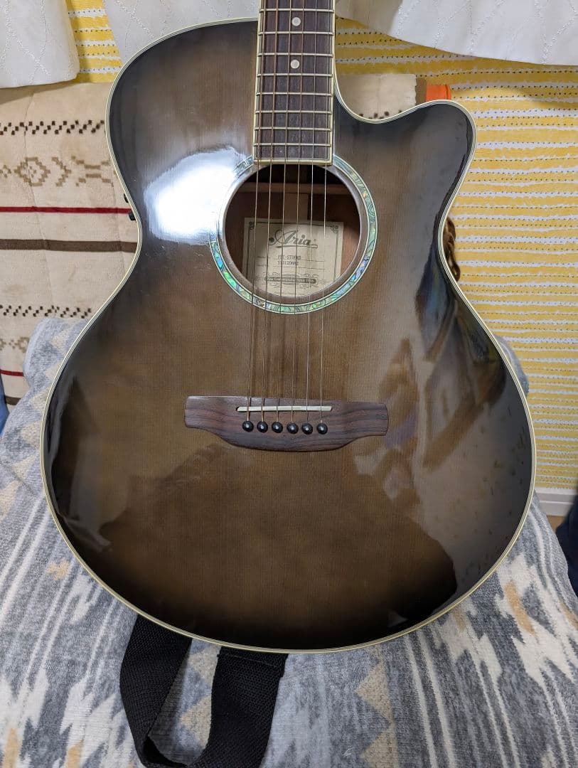 Rolandポータブルアンプ ARIAFET-CST SRエレアコギターのセット