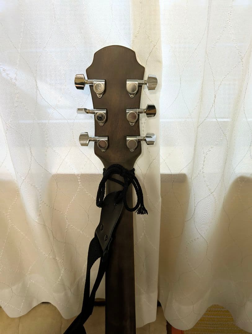 Rolandポータブルアンプ ARIAFET-CST SRエレアコギターのセット