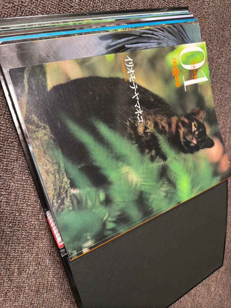 週刊 日本の天然記念物 動物編 全50巻+フィギュア+公式トレカ