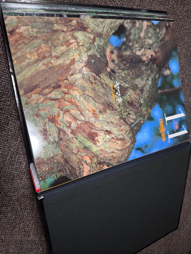 週刊 日本の天然記念物 動物編 全50巻+フィギュア+公式トレカ