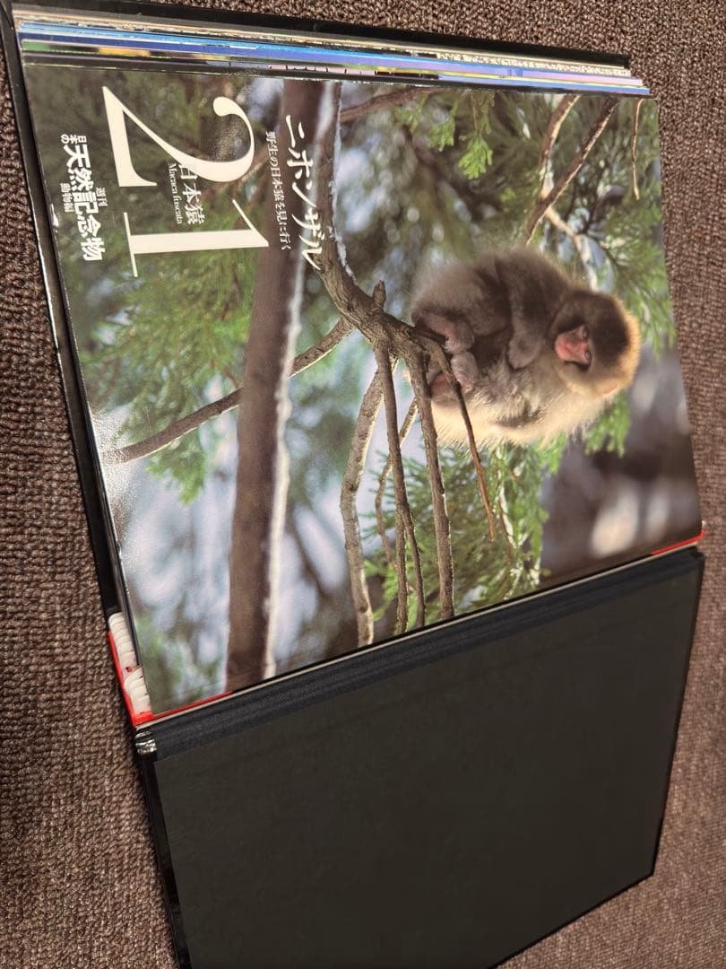 週刊 日本の天然記念物 動物編 全50巻+フィギュア+公式トレカ