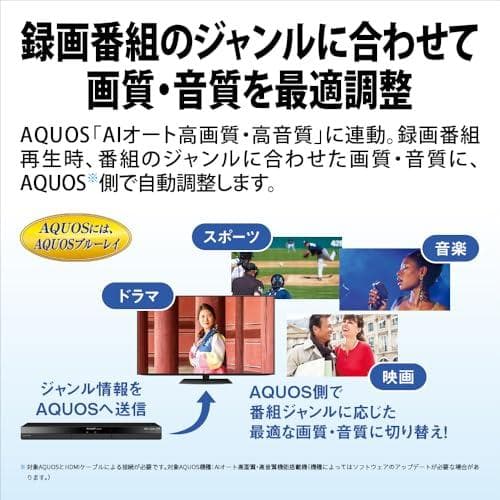 シャープ ブルーレイディスクレコーダー 2B-C10GW1 AQUOS ブルー*