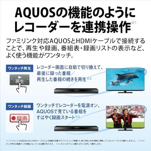 シャープ ブルーレイディスクレコーダー 2B-C10GW1 AQUOS ブルー*