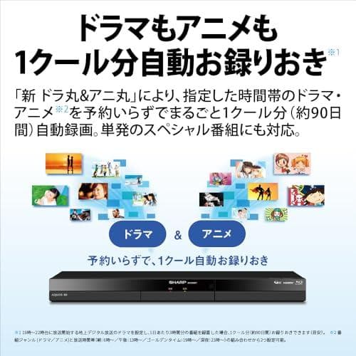 シャープ ブルーレイディスクレコーダー 2B-C10GW1 AQUOS ブルー*