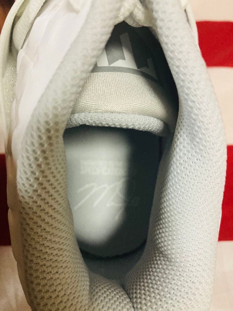 NIKE 新品未使用 ナイキ スパイク フォースズーム トラウト6 30cm