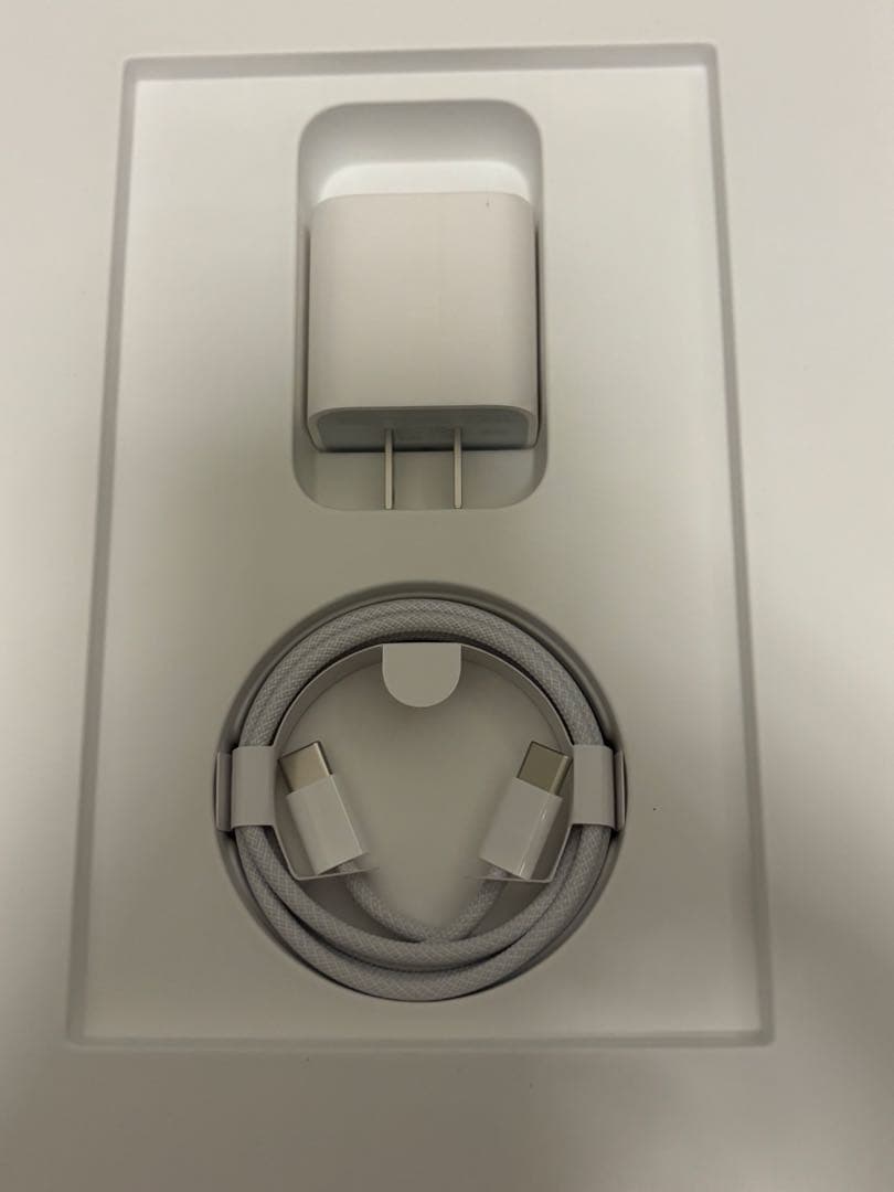 iPad Air M3 11インチ128GB セルラー パープル