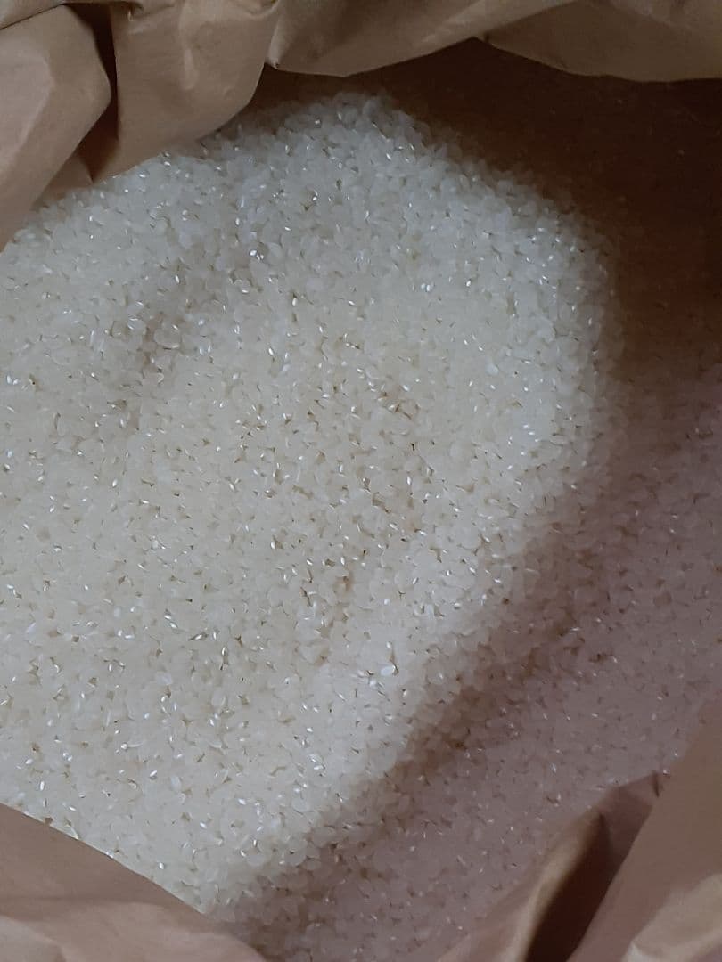 7年　秋田県産　あきたこまち　玄米　10キロ　【低農薬　低化学肥料】