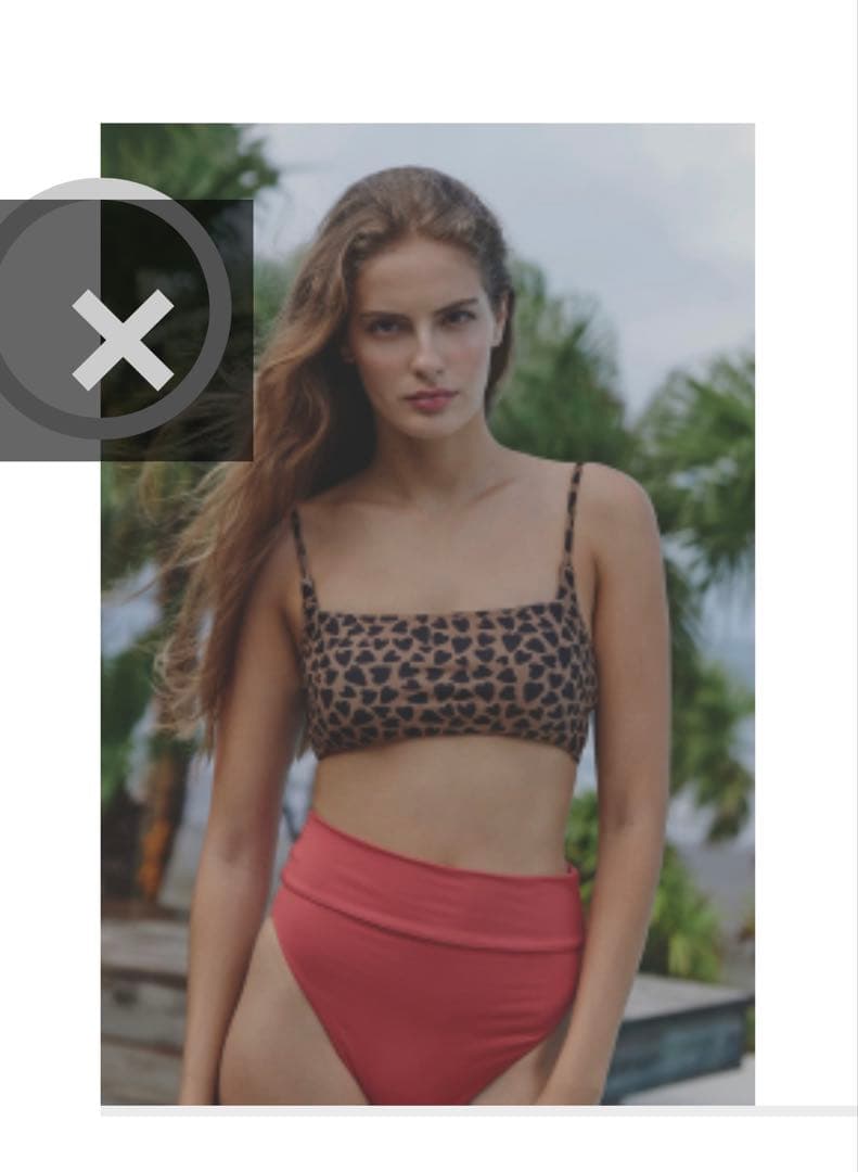 アリシアスタン