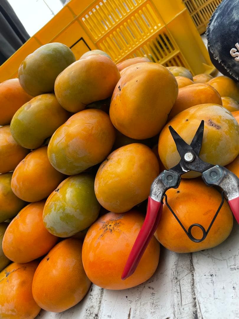 猫ちゃんさん用 20