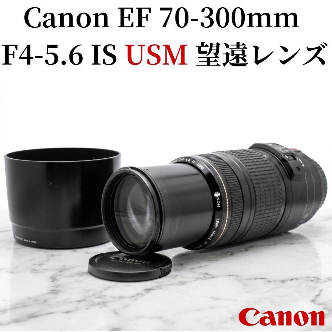 Canon EF 70-300mm F4-5.6 IS USM 手振れ補正