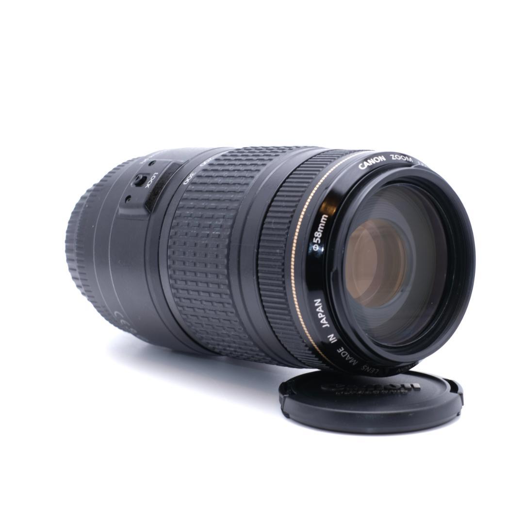 Canon EF 70-300mm F4-5.6 IS USM 手振れ補正