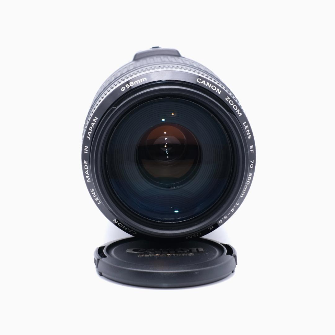 Canon EF 70-300mm F4-5.6 IS USM 手振れ補正