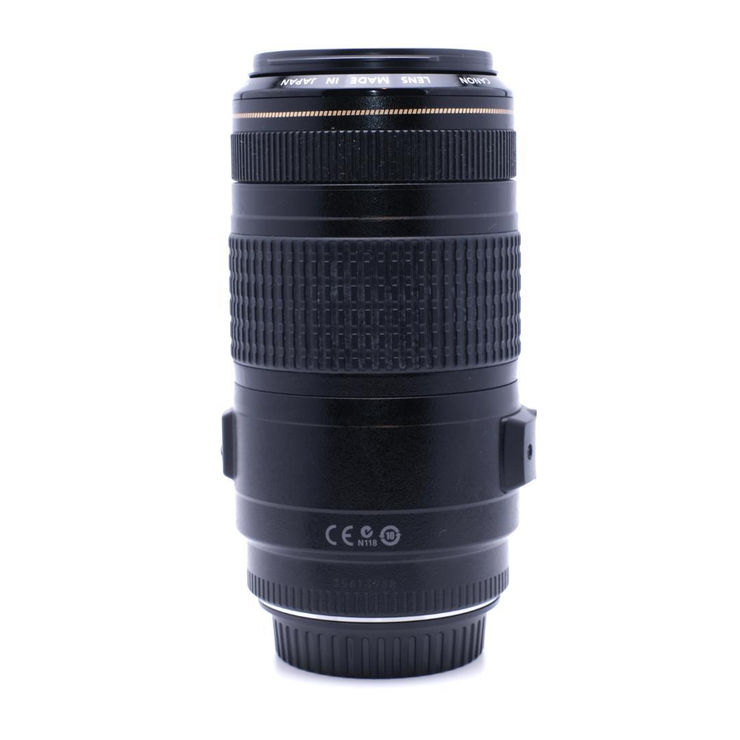 Canon EF 70-300mm F4-5.6 IS USM 手振れ補正