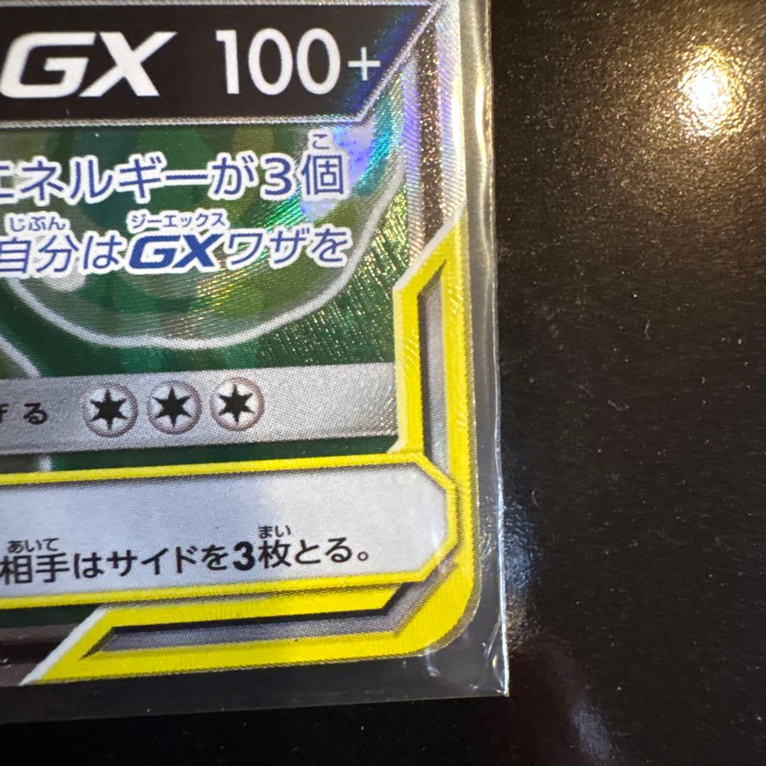 カメックス&ポッチャマGX SR 070/064