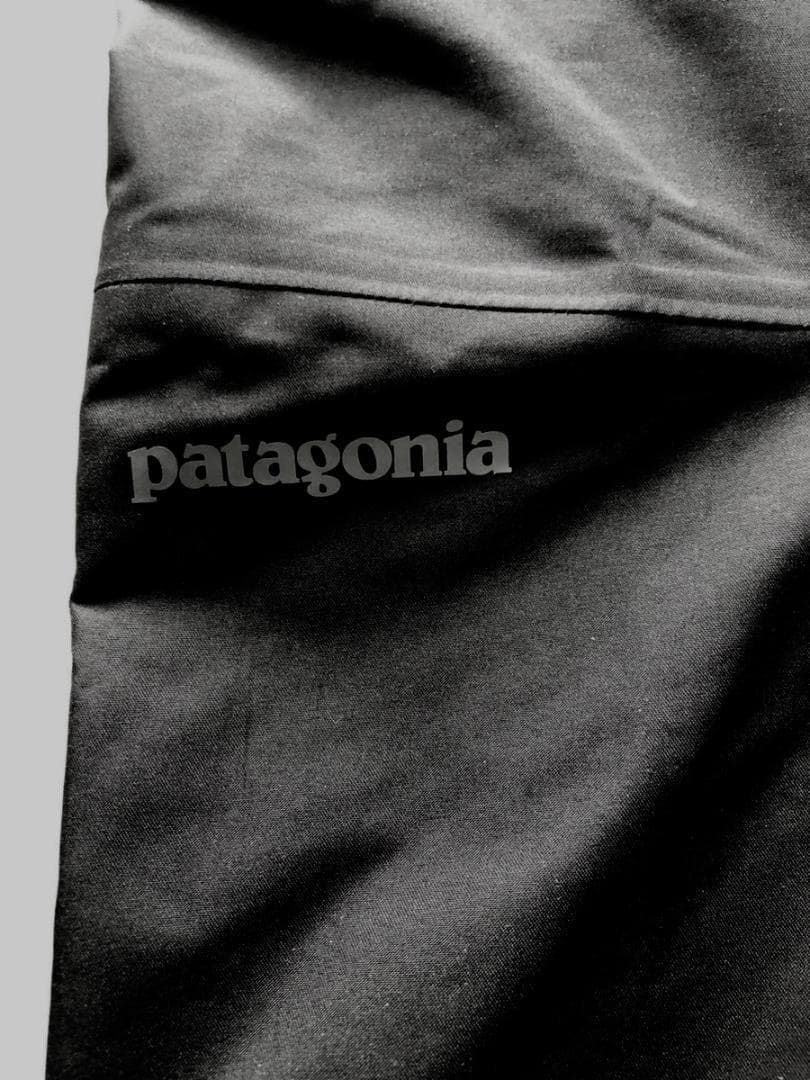 AYAパタゴニア H2No スノーショットパンツ RECCO搭載 L 黒