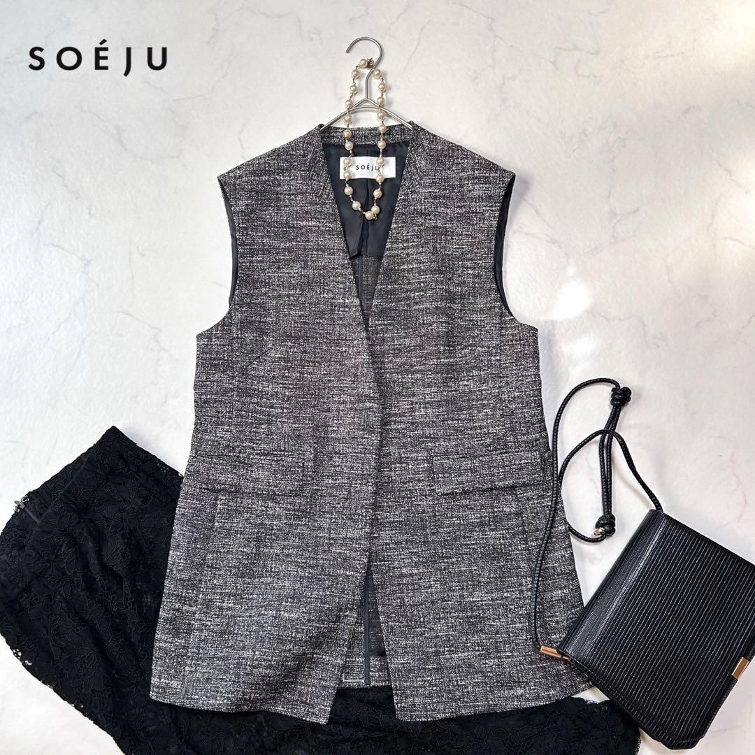 未使用級 ソージュ SOEJU ツィーディージャカードジレ ベストM ロング