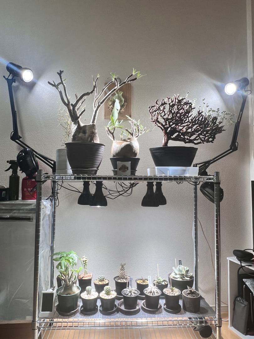 ('H') 植物育成　セット　サーキュレーター　ライト　ストロングアーム