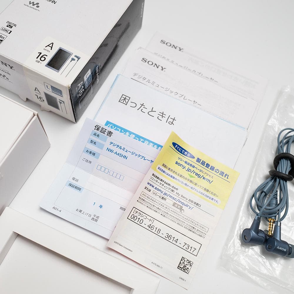 ソニー SONY NW-A45HN [16GB]