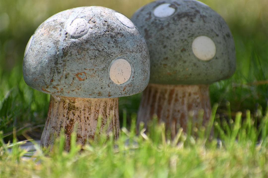 【作例有】ニコンAF-P DX 70-300mm f4.5-6.3G VR 美品