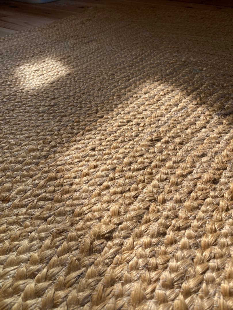 ZARA ザラホーム ラグ マット 絨毯 インテリア