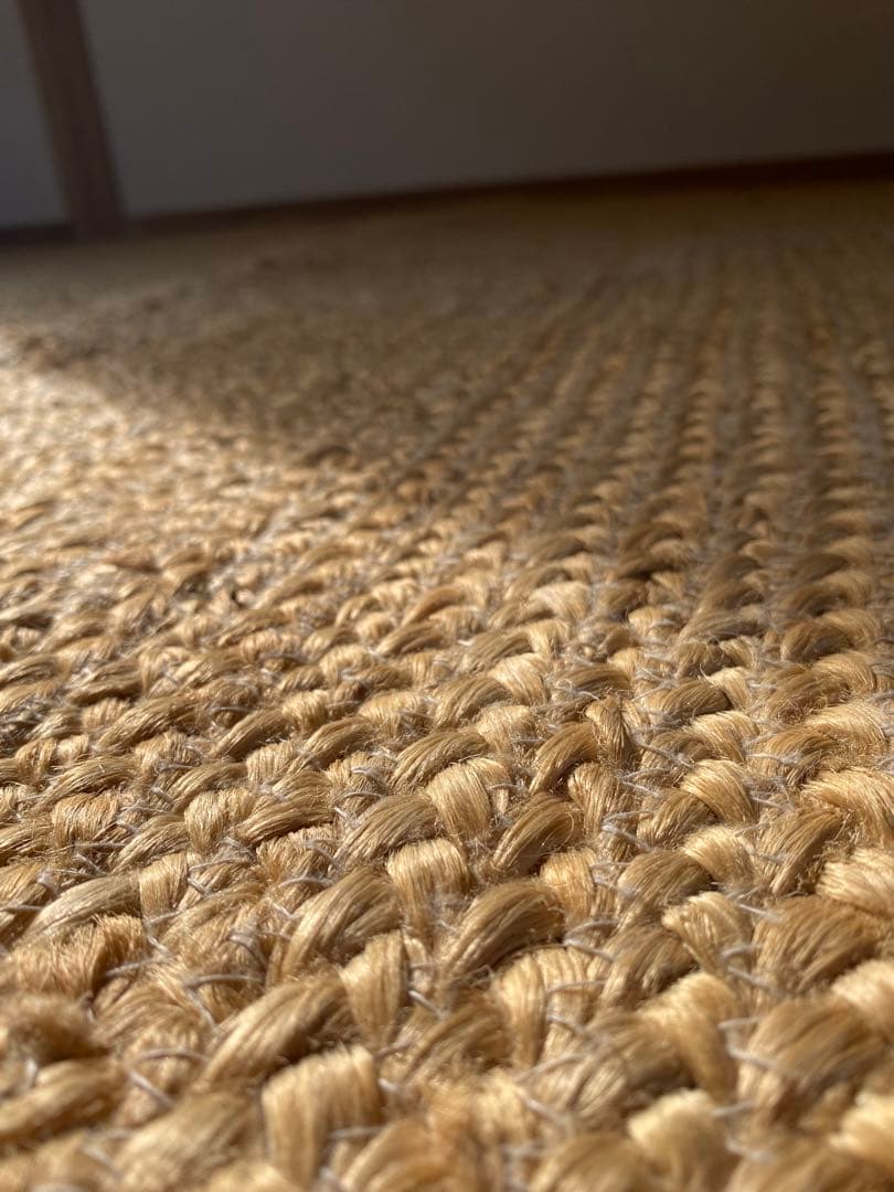 ZARA ザラホーム ラグ マット 絨毯 インテリア