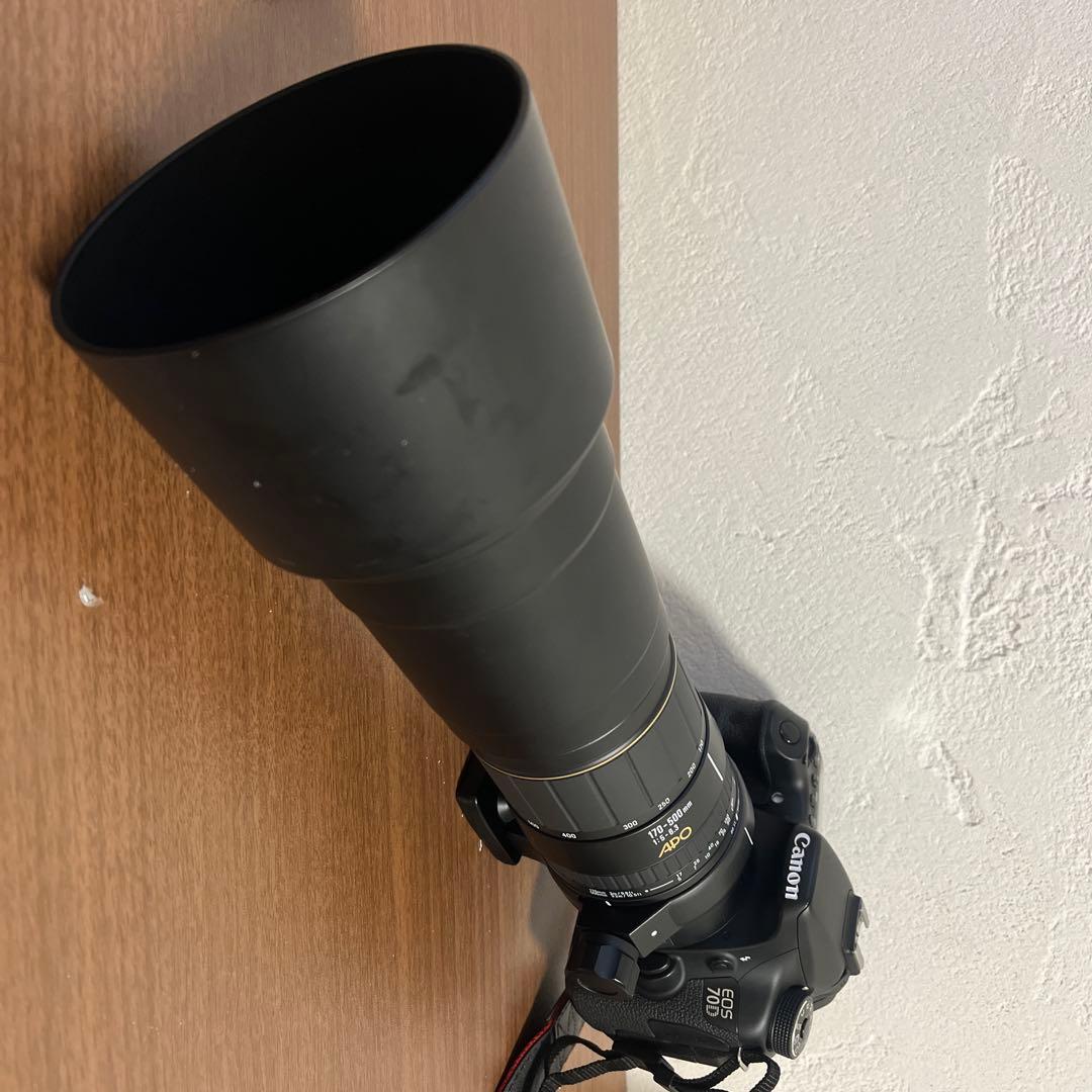 レンズ(ズーム) RT(EF170-500mm)