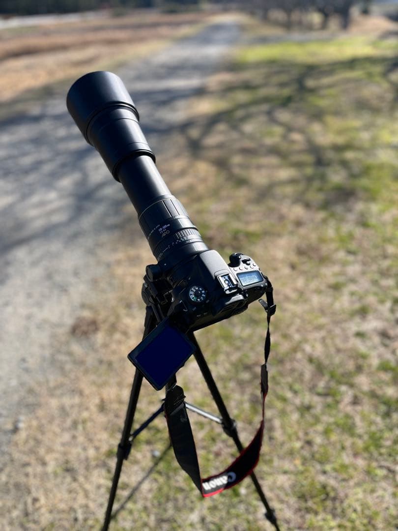 レンズ(ズーム) RT(EF170-500mm)