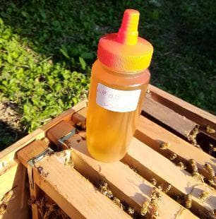 ✡️アカシア蜂蜜５本&レンゲ蜂蜜蜜５本　生はちみつ　非加熱ハチミツ