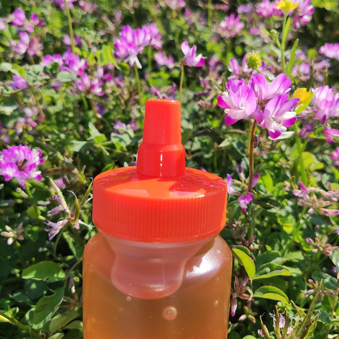 ✡️アカシア蜂蜜５本&レンゲ蜂蜜蜜５本　生はちみつ　非加熱ハチミツ