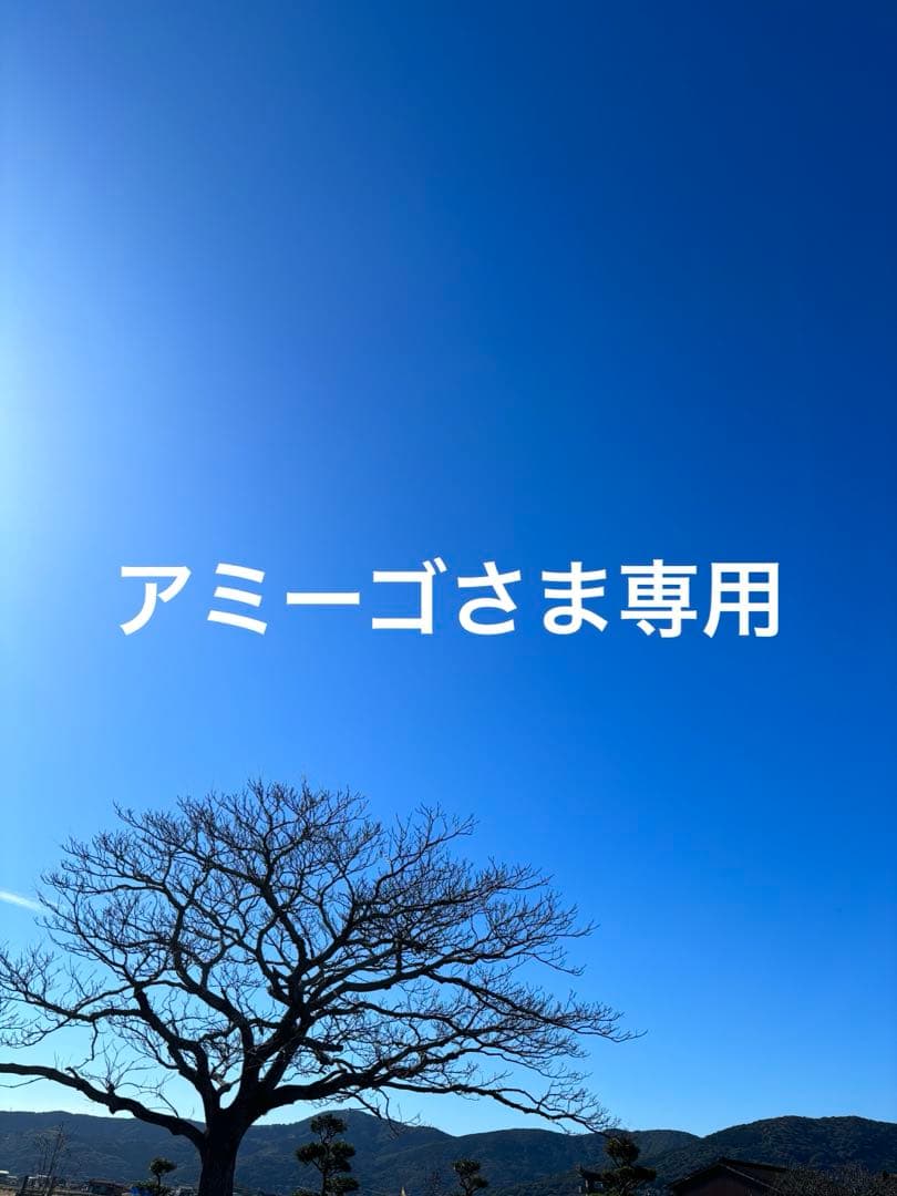 【 アミーゴさま専用 】